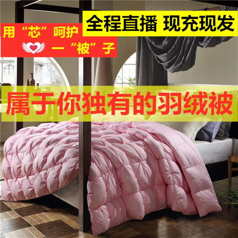 羽绒被95白鹅绒被子定做单人双A人鹅绒被被芯春秋被加厚冬被保暖