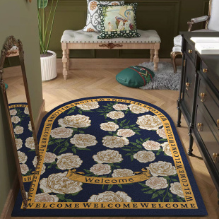 高级感拱形e丝圈地垫高弹加厚入户门防滑脚垫家用玄关擦灰耐脏水