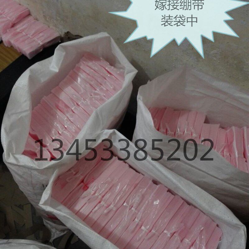 果树嫁接专用膜 绿化苗嫁接绷带 C嫁接条塑料布大面积树苗嫁接油