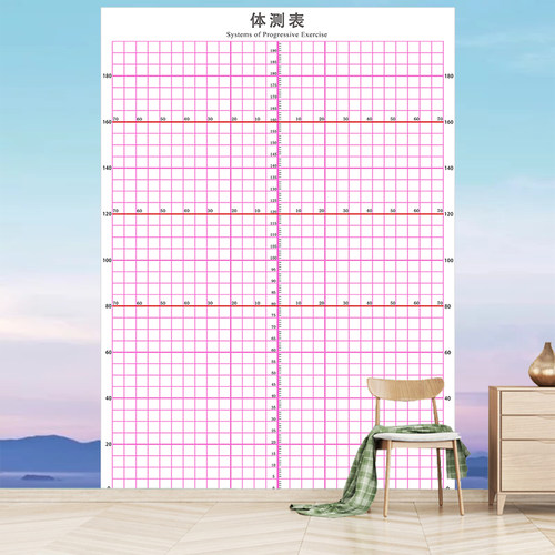 专业体测评估表健身房姿势测试表格瑜伽馆私教体态评估图网格壁画