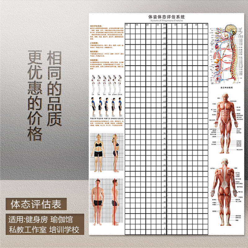 体态评估表体姿体态背景墙健身房瑜伽馆私教体测表身体评估图墙贴