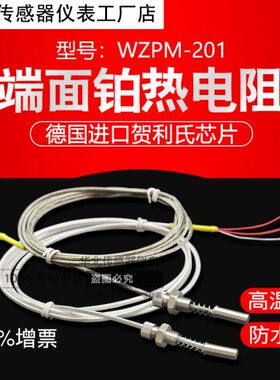 端面PT100 铂热电阻温度传感器防水高温WZPM-201电机轴承表面探头