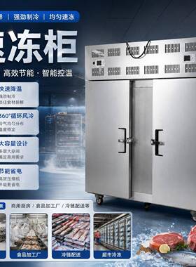 小型食品速冻柜 商用急速冷冻箱 肉类熟食水产冻品加工设备