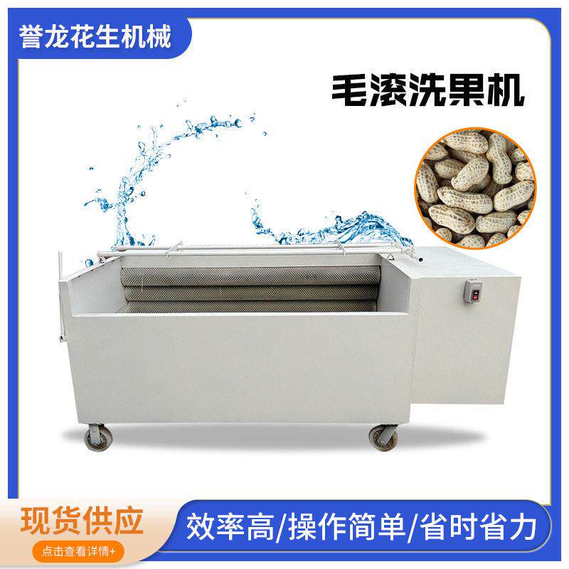 全自动毛辊洗果机花生果毛辊清洗机核桃坚果毛刷去泥沙清洗机