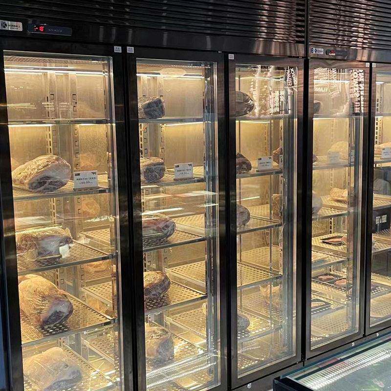 牛肉熟成柜商用牛排柜冷藏冷鲜展示柜干湿排酸柜西餐厅恒温柜冷冻