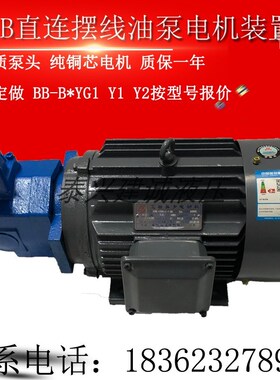 BB-B40Y1G摆线齿轮油泵电机BB-B50Y/B63Y调压泵Y1G/2G1滤油车Y2