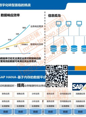 企业数字化转型研究报告解决方案电子版制造业工业互联网智能SAP