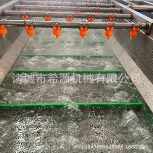 全自动水果气浪清洗机果JOO蔬气泡洗清洗机式 柑橘气高压泡清机械