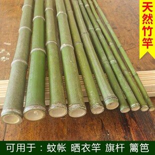 竹竿晾衣竿挂蚊帐杆旗杆细竹棍子竹条纯天然篱T笆搭架菜园瓜架