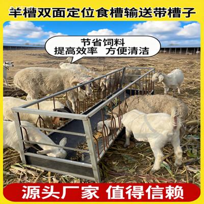 新款定位栏双面羊槽子一羊一位防止羊抢食养殖专用羊料槽厂家直销