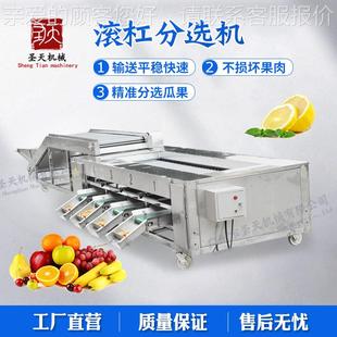 广水州圣分天 金桔大枣猕ODI猴桃选机龙眼果筛 电动圣果女分级机