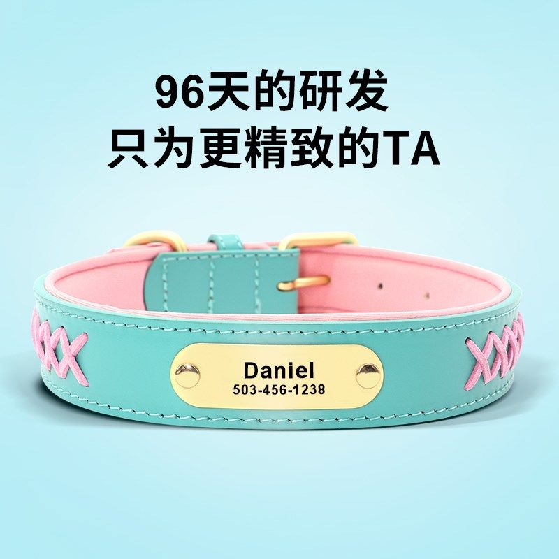 狗项圈泰迪法斗金毛拉布拉多中大型犬颈圈小狗脖圈狗牌定制可刻字