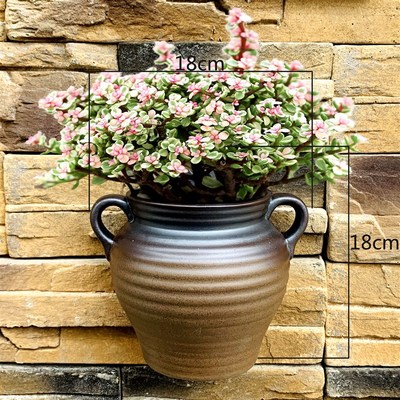 壁挂客厅墙上水培花盆挂墙半壁陶瓷创意悬挂式植物吊兰绿萝专用盆