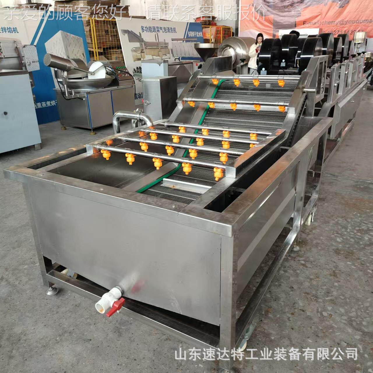 气蔬菜风清洗机干流线大型菌菇清洗泡设备水全自动杨梅果蔬清PDC