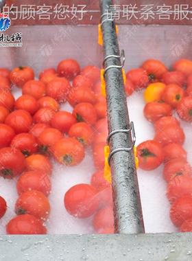 海蛎子扇去贝去泥设备 腾产平行毛辊清昇WSI洗生线 生蚝泥清洗生