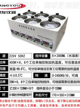 定制供力应SHSHJ-6DJ-6D水浴磁力搅拌器六孔显磁搅器拌磁力搅数拌