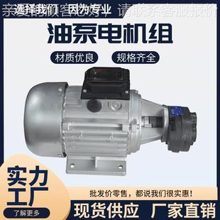 齿轮油泵电机组3/705/50配CBB2.W5/46/10油泵组配齿轮油泵PGH抽油