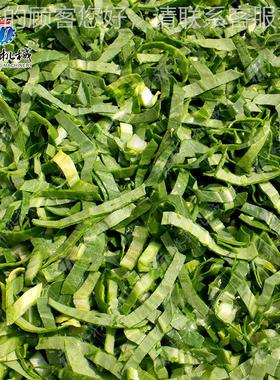 大型加商用切菜菜机 多功能片切段机 芹白JQE菜切段机 宽输切送带