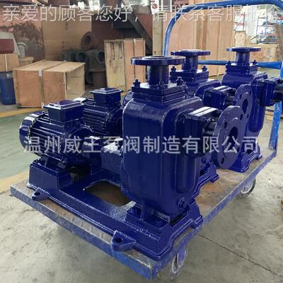 厂家直销不-钢离心式自吸泵ZW8锈02885械5-40，机密封不阻塞排污
