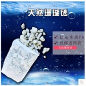包邮 5斤 珊瑚沙珊瑚石过滤材料珊瑚骨稳定水质PH天然底沙 珊瑚砂