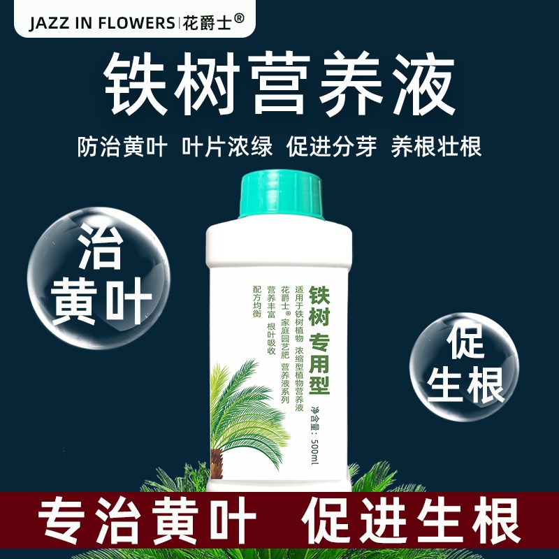 铁树专用营养液铁树盆景肥料苏铁树盆栽专用肥料防黄叶干枯专用药