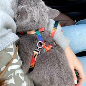 pidan猫咪牵引绳猫牵引绳猫咪H型背带遛猫绳防挣脱猫链子宠物用品