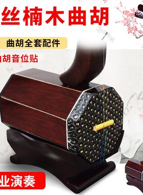 陈氏曲胡乐器河南曲胡乐器坠胡 金丝 楠木曲子大弦专业演奏