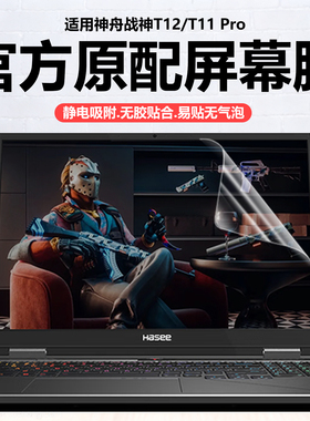 迷它适用神舟战神T12Pro笔记本屏幕膜战神T11pro电脑保护膜T10高清防刮T9磨砂防反光T8抗蓝光护眼16寸钢化膜