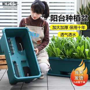 阳台种菜盆懒人花盆家用蔬菜种植箱花卉专用箱长方形大菜盆塑料盆