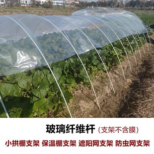 拱棚玻纤杆小拱棚保温暖棚花棚遮阳防虫大棚支架骨拱杆竿蔬菜农用