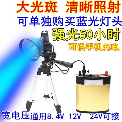 蓝光钓鱼灯黄光12V-48V夜钓8.4V蓝光头灯强光灯头大光夹电瓶外接