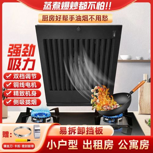 碧淳牌大吸力家用壁挂式简易安装型厨房小型油烟机抽油烟机换气机