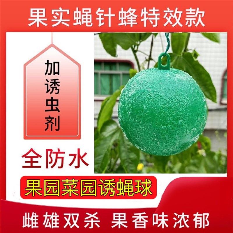 粘虫球诱蝇球瓜果实蝇针锋果园专用黄球绿球果蝇诱捕器柑橘大实蝇,鲜花速递/花卉仿真/绿植园艺,其它园艺用品,淘宝优惠券,粉丝福利购,淘宝优惠卷