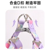 狗狗牵引绳宠物背带遛狗绳中小型犬柯基比熊外出专用狗链子防爆冲