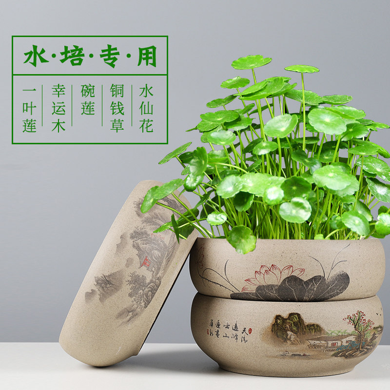 水养铜钱草花盆陶瓷碗莲水仙粗陶无孔水培容器大号器皿专用一叶莲,鲜花速递/花卉仿真/绿植园艺,花盆,淘宝优惠券,粉丝福利购,淘宝优惠卷