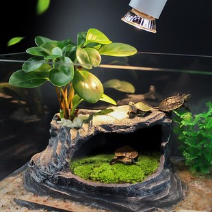 爬宠躲避屋静养躲避洞穴造景躲避窝蛇角蛙睫角守宫鬃狮乌龟晒背台