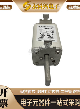 巴斯曼快速熔断器保险丝170M3814 3815 3816 3817 3818 3819 3901