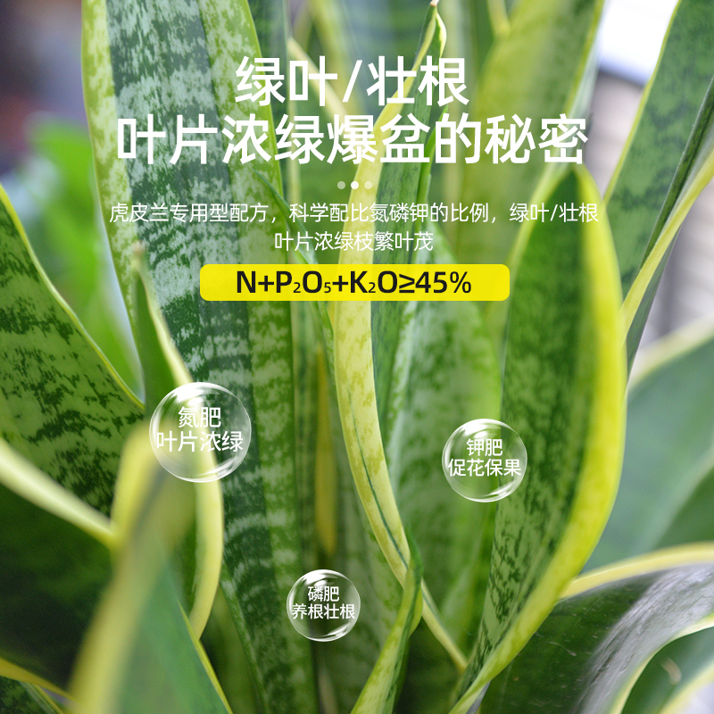虎皮兰肥料专用肥金边虎皮兰营养肥料室内盆栽植物复合颗粒缓释肥