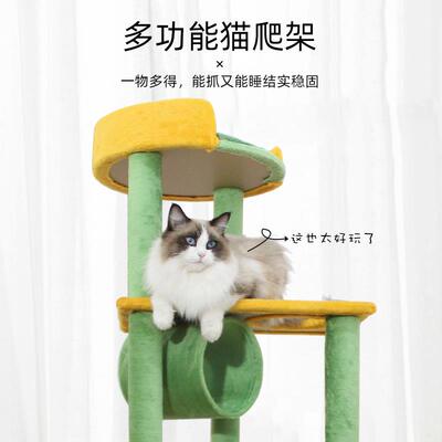 热带雨林猫爬架猫树猫窝一体磨爪柱幼猫专用跳台猫架子不占地