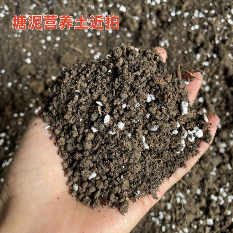 种菜养花种果树苗木营养土塘泥土家庭庭院阳台盆栽植物蔬菜种植土,鲜花速递/花卉仿真/绿植园艺,介质/营养土,淘宝优惠券,粉丝福利购,淘宝优惠卷