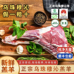 内蒙乌珠穆沁羊肉新鲜宰杀正宗东乌珠羊后腿肉羊排羊腿整羊肉礼盒