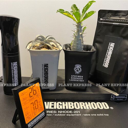 NEIGHBORHOOD块根植物多肉电子温度计湿度计壁挂大屏触摸背光磁吸