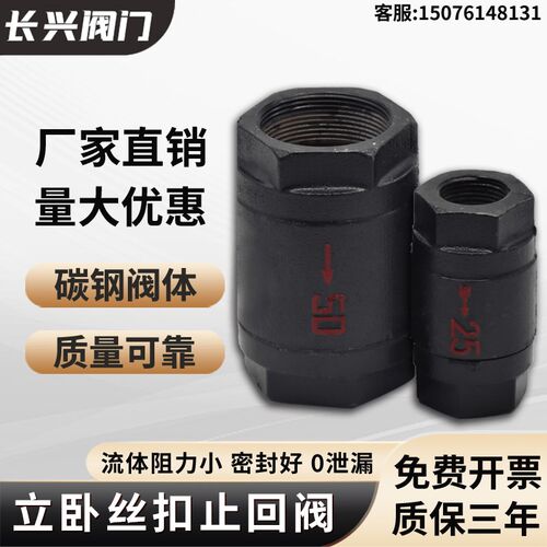 HT12-16丝扣单向阀立卧两用止回阀铜芯耐高温内螺纹止回阀铸铁