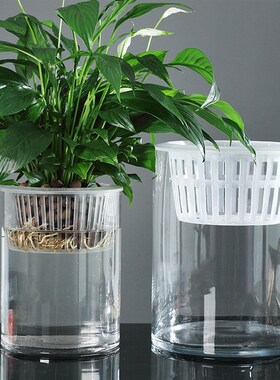 水培植物玻璃瓶透明直筒客厅花瓶水养绿萝白掌玻璃空器定植篮花器