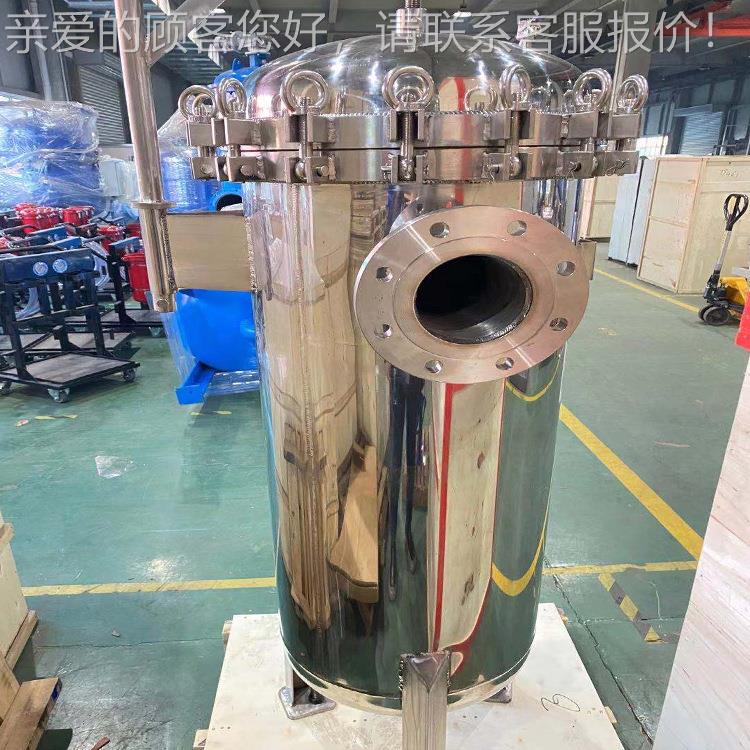 保安器LFDR-1-6污 3滤04不锈钢精密过滤器井水水过过滤
