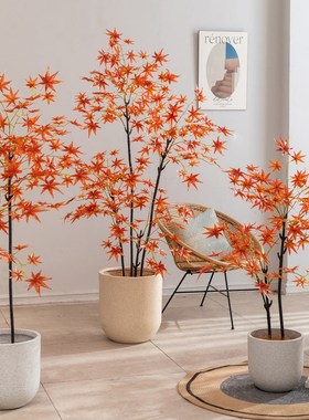 掬涵仿真绿植假红枫树造景枫叶装饰卉大型客厅室内