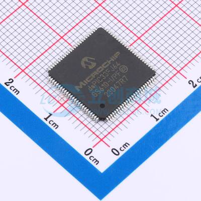 数字信号处理器(DSP/DSC) DSPIC33FJ64GS610-I/PF TQFP-100(14x14