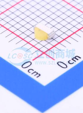 12-22A/S2ST3D-C30/2C SMD,3x2mm 橙色,白色 发光二极管LED