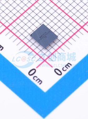 音频接口芯片 WM8962BECSN/R CSP-49(3.6x3.9) 原装正品