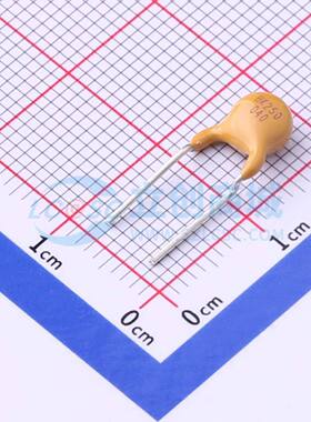 自恢复保险丝 BK250-040-DY-E0.6 插件,P=5.1mm 原装正品
